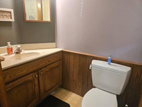 a bathroom with a white toilet and a sink at Entire home 5min to Senior Open+Breakfast! in Stevens Point