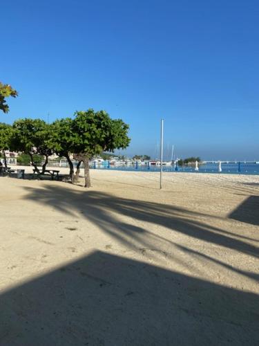 a shadow of a tree on a sandy beach at Ocho Rios Vacation Resort Property Rentals in Ocho Rios