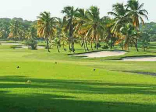 - un parcours de golf avec des palmiers et un putting-green dans l'établissement Lullaby of the sea Crystal beach Saint François, à Saint-François