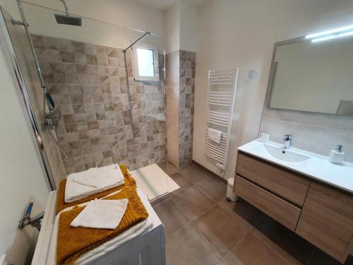 ein Badezimmer mit einer Dusche, einem Waschbecken und einer Badewanne in der Unterkunft Gîte Chilleurs-aux-Bois, 2 pièces, 2 personnes - FR-1-590-276 in Chilleurs-aux-Bois