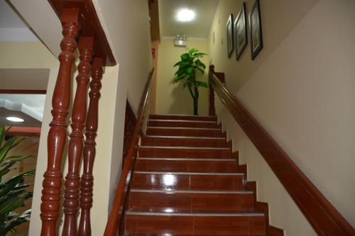 a staircase in a house with wooden stairs and a plant at HOTEL LUCERO REAL in Tacna