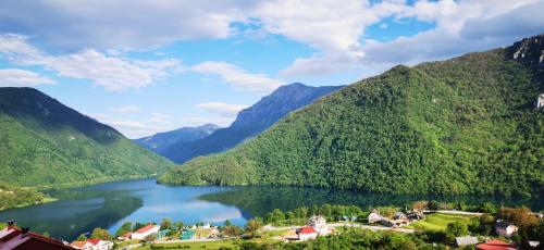 a view of a lake in a valley with mountains at Vista apart Pluzine in Plužine