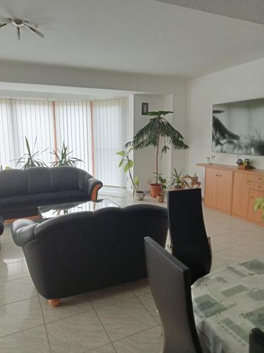 uma sala de estar com um sofá e uma mesa em Apartman Laguna em Balatonlelle