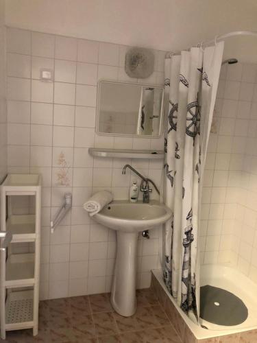 a bathroom with a sink and a shower curtain at Aniiza apartman in Örvényes