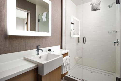 SpringHill Suites by Marriott Milpitas Silicon Valley Image