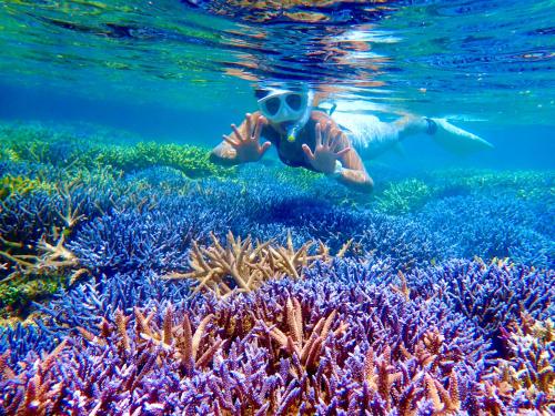 a person swimming over a coral reef at Happy Island Miyako in Miyako Island