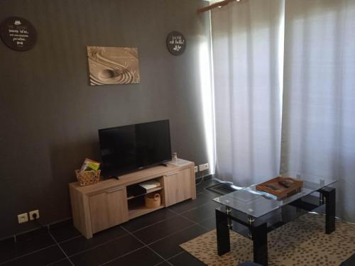uma sala de estar com uma televisão e uma mesa de centro em Les clés du sud sauvage em Saint-Joseph