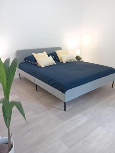 a bedroom with a bed with blue sheets and a plant at Petit appartement avec terrasse in Guebwiller