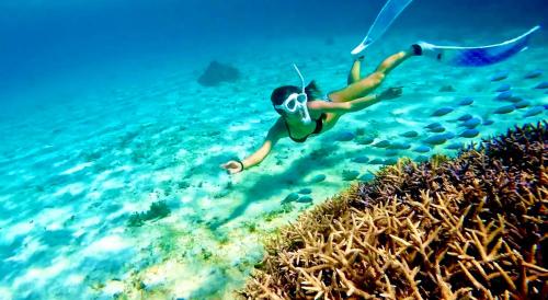 a person swimming in the ocean next to a reef at Happy Island Miyako in Miyako Island