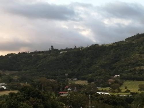 a view of a hill with trees on it at Les clés du sud sauvage in Saint-Joseph