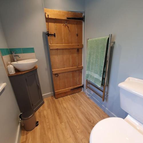 een kleine badkamer met een wastafel en een toilet bij Priory Cottage in Westbury