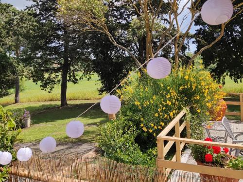 a garden with white paper lanterns hanging from a fence at Agriturismo Pian dell'Osa in Montiano