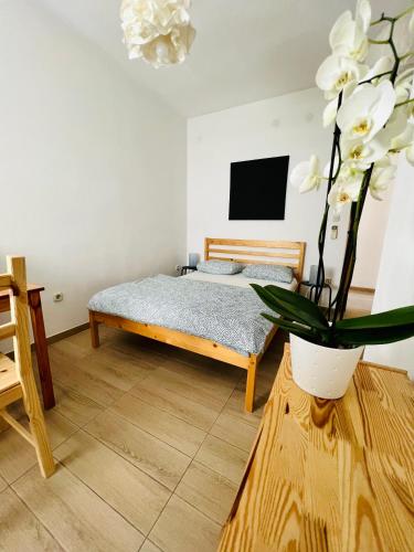 Guesthouse Dvoshko – Photos 5