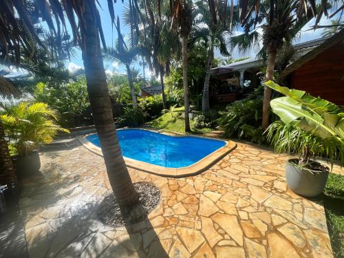 a swimming pool with a palm tree next to a house at Bungalow indépendant dans jardin exotique , piscine in Fleurimont