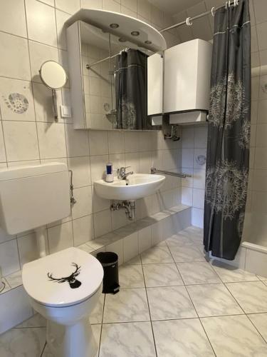 a bathroom with a toilet and a sink at Ferienhaus Hoher Meißner in Germerode
