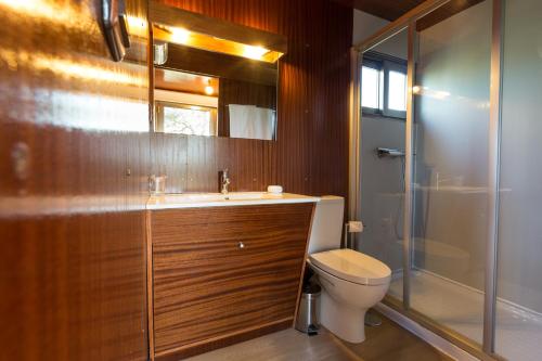 uma casa de banho com um WC, um lavatório e um chuveiro em Encostas do Côa TER -HOTEL em Pinhel