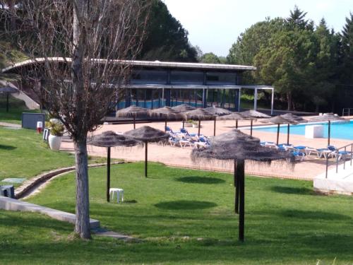 Amazing marina park