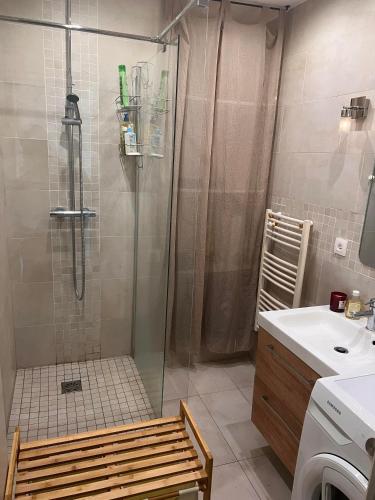 ein Bad mit einer Dusche, einem Waschbecken und einem WC in der Unterkunft 20 min du Stade de France in Saint-Denis