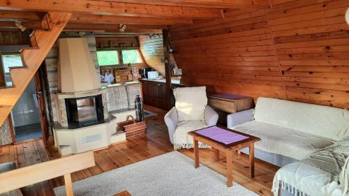 a living room with a couch and a tv in a cabin at Lawendowe Narie in Kretowiny