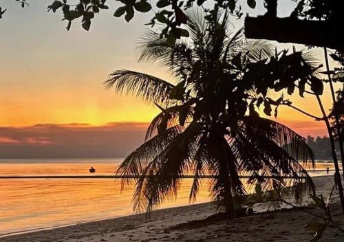 a palm tree on the beach at sunset at Bungalow on the beach (C6) in Thongsala