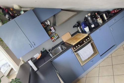 mit Blick auf eine Küche mit blauen Schränken in der Unterkunft Skyline-Blick über Darmstadts Martinsviertel in Darmstadt