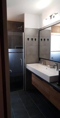 une salle de bain avec un lavabo, une douche et un miroir dans l'établissement Villa landaise 5ch/10prs - Bassin Arcachon, au Teich