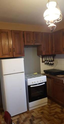 Il comprend une cuisine équipée d'une cuisinière et d'un réfrigérateur blancs. dans l'établissement Villa landaise 5ch/10prs - Bassin Arcachon, au Teich