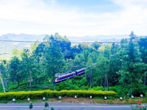 a train is going down a hill with trees at Awinco Haputale in Haputale