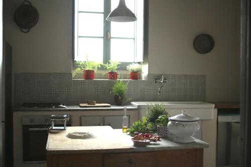 A Casa là - l'Aiola في Paciano: مطبخ مع حوض ومكتب بالنباتات