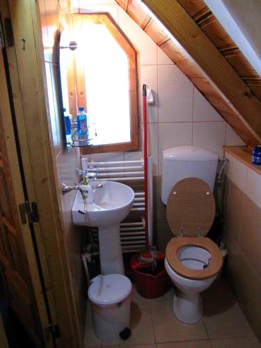 a small bathroom with a toilet and a sink at Casa Oana in Sulina