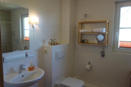 a bathroom with a sink and a toilet and a mirror at Ferienhaus Karlin in Börgerende-Rethwisch