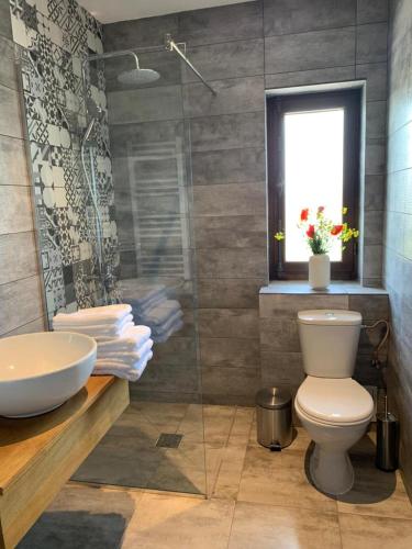 a bathroom with a toilet and a sink at Pensiunea Taisia in Murighiol