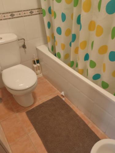 a bathroom with a toilet and a shower curtain at Navaluenga in Navaluenga