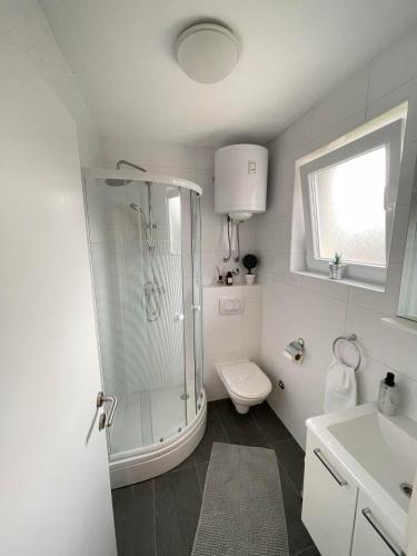 a bathroom with a shower and a toilet and a sink at Apartment Maria in Zadar