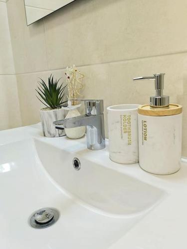 a bathroom sink with a faucet and some plants on it at Marina Holiday House in Quarteira