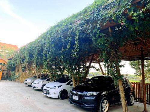 Φωτογραφία από το άλμπουμ του Mana-An Lake Hill Resort Apartment σε Ban Huai Som