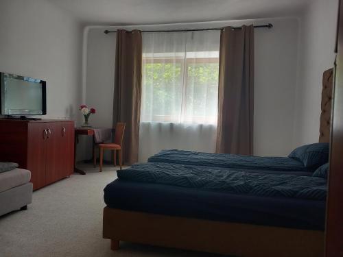 a bedroom with a bed and a window at Casa Marza in Ghioroc