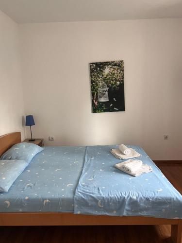 a bed with blue sheets and a picture on the wall at Apartments Radulovic in Sutomore