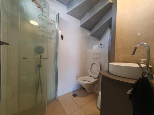a bathroom with a shower and a toilet and a sink at Golden beach cottage by the sea in Caesarea