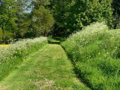 Upper Home Farm – Photos 2