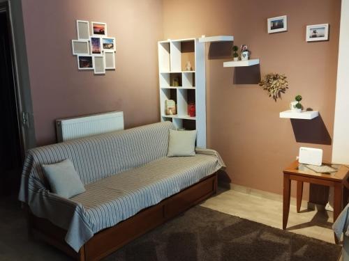 テッサロニキにあるRania's houseの本棚付きの部屋のソファ