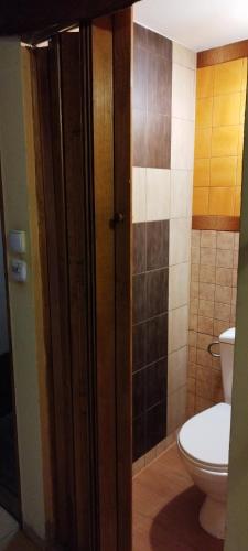 a bathroom with a toilet and a door open at K85 Komańcza Baza Noclegowa Wypadowa Bieszczady Beskid Niski in Komańcza