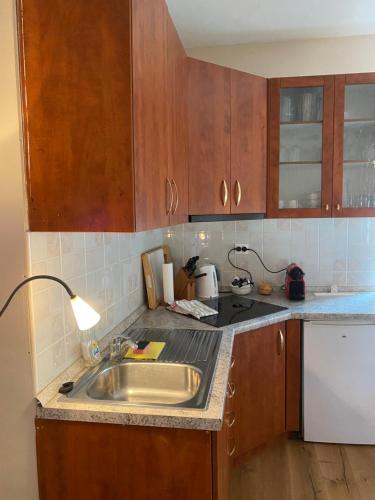 a kitchen with a sink and a counter top at Tartini - private roof terrace - self check-in in Piran