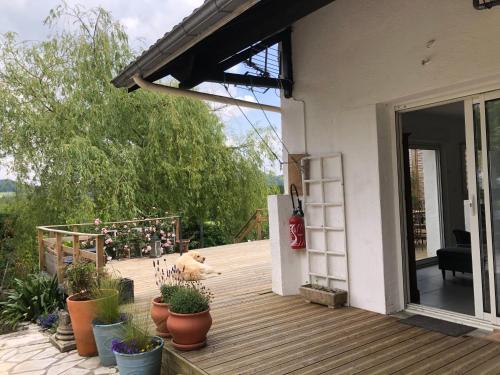 Photo de la galerie de l'établissement Bienvenue pour vous détendre, à Parbayse