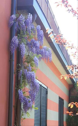 Residenza XX Settembre – Photos 3