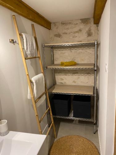 a bathroom with a ladder and shelves in a room at Le studio d Inès in Vergèze