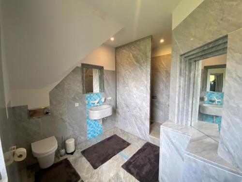 a bathroom with a toilet and a sink and a shower at Hof Arche in Neuenkirchen-Vörden