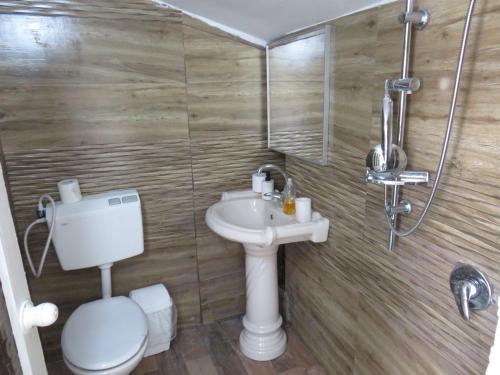uma casa de banho com um WC e um lavatório em cohen sea of galilee em Tiberias