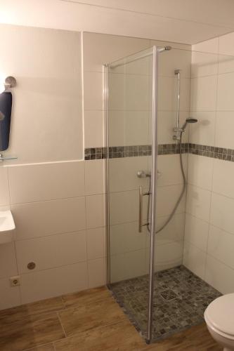 a shower with a glass door in a bathroom at Ferien auf der Insel Poel in Kirchdorf
