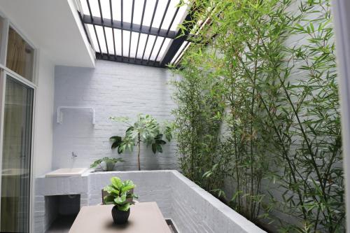 a courtyard with plants and a sink in a building at 554 Apartments in Cali